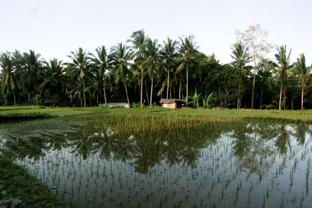 Artist Eco Villa In Ubud Exterior foto